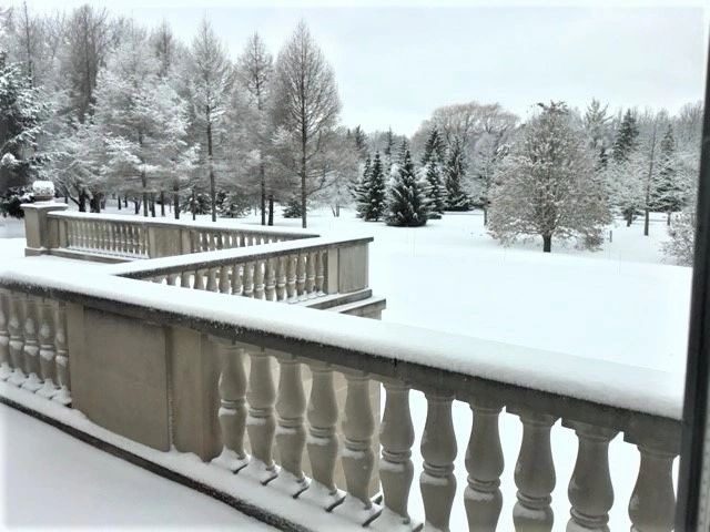 A balcony with snow on the ground and trees in the background.