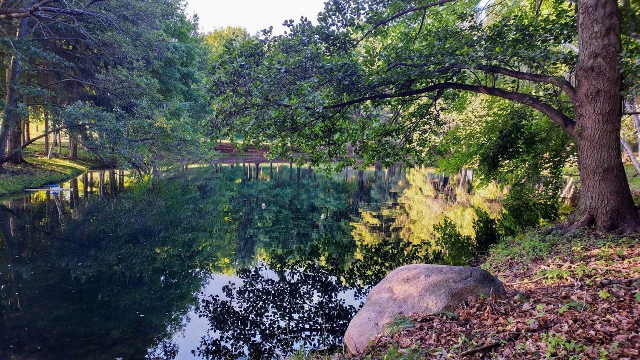 A pond with trees and rocks in the foreground.