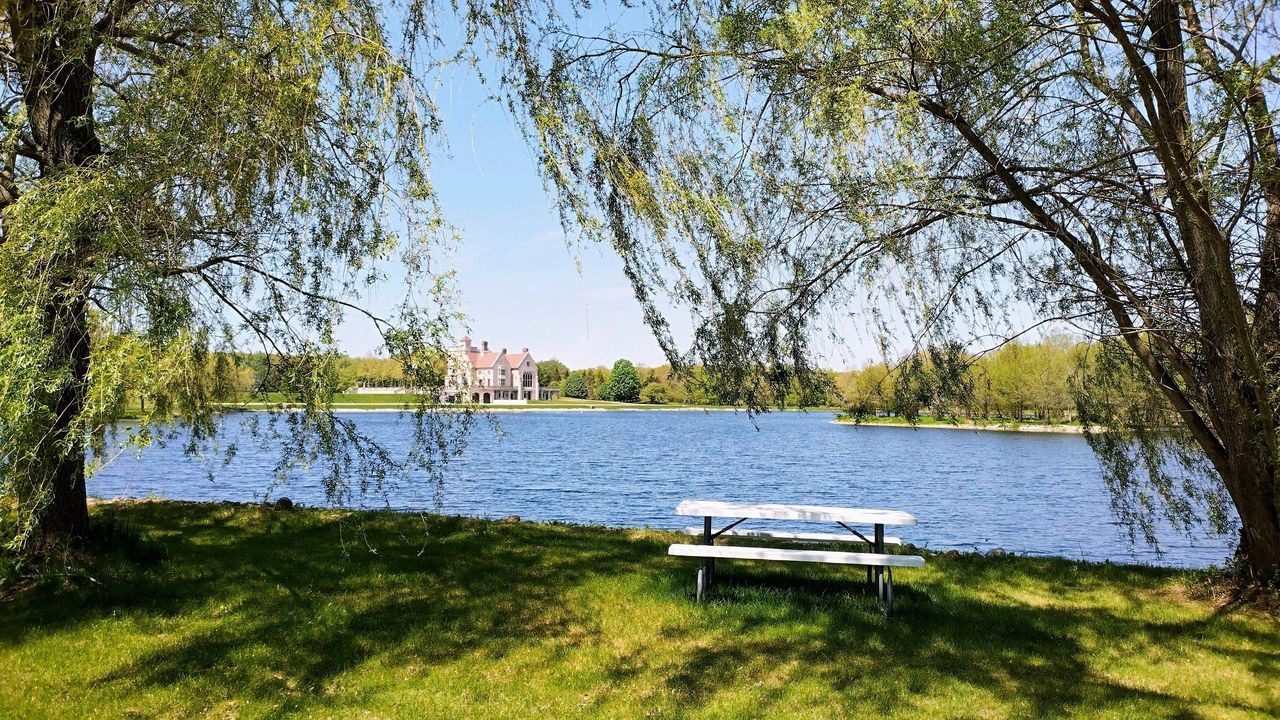 A bench sitting on the grass near water.