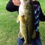 A man holding a large fish in his hands.