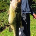 A man holding a large fish in his hand.