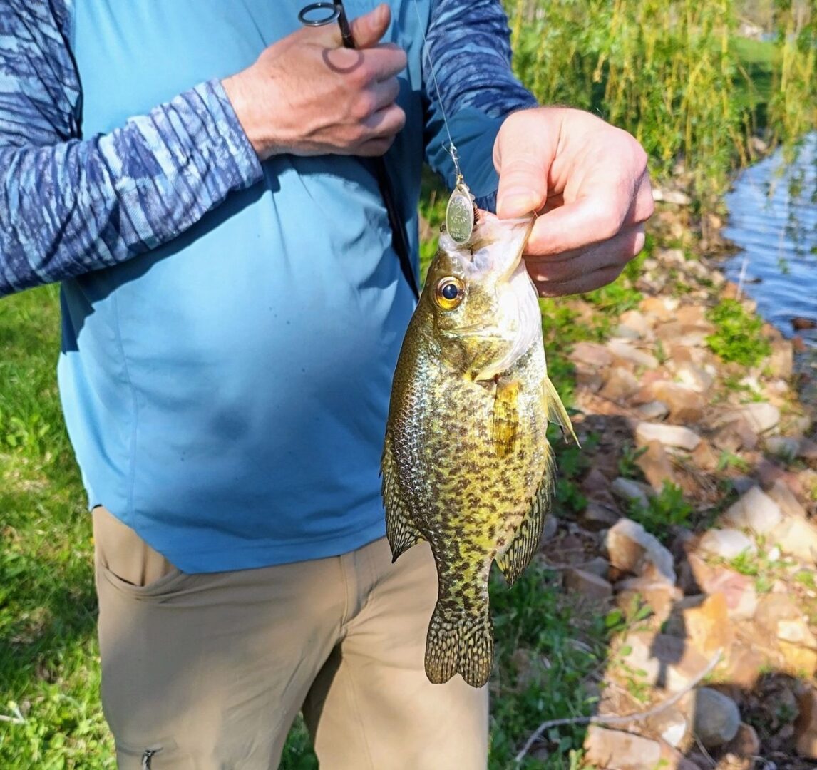 A man holding a fish in his hand.