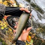A person holding a fish in their hand.
