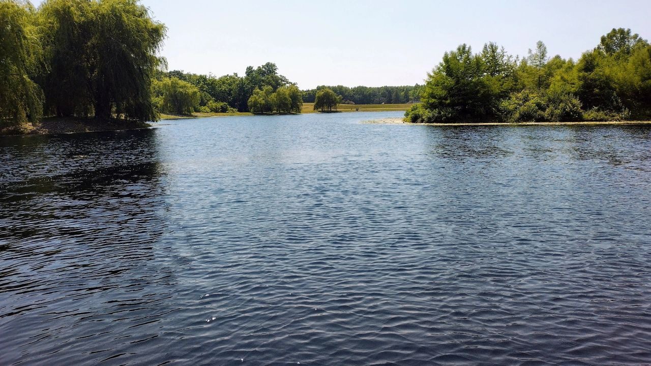 A body of water with trees in the background.