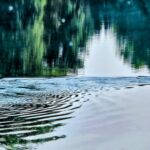 Ripples spread across calm water reflecting a blurred fountain and greenery.