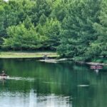 Calm lake surrounded by lush green trees and small boats.