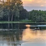A peaceful lake at sunset with ducks swimming.