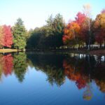 Colorful autumn trees reflected in a calm lake under clear blue sky.