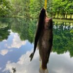 A person holding a large fish by a lake with trees reflected in the water.