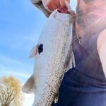Person holding a large fish against a clear sky.