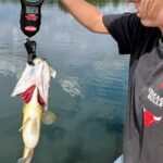 Person holding a fish caught with a fishing scale by the water.