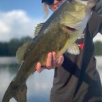 Person holding a large fish caught during fishing.