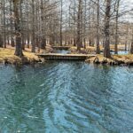 A serene pond surrounded by leafless trees in early spring.