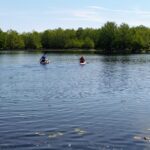 Two kayakers paddling on a calm lake surrounded by trees.