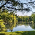 Serene lake surrounded by lush green trees under a clear sky.