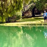 A man jogging beside a serene green lake surrounded by trees.