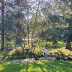 A serene garden with trees and a small stream.