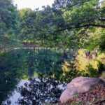 A serene pond surrounded by lush trees and greenery.