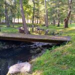 A peaceful wooden bridge over a small stream in a forested park.