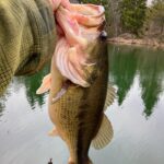 A person holding a freshly caught largemouth bass near a calm lake.
