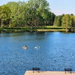 Two ducks swimming on a calm lake surrounded by trees.
