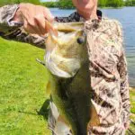 Kara 4.2lb