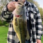 Person holding a large bass fish outdoors.