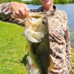 Person holding a large bass fish caught by a lake.