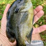 WhatsApp Image 2026-03-22 at 11.25.09 AM